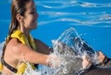 Dolphin Swim Program with Wet 'n Wild Admission